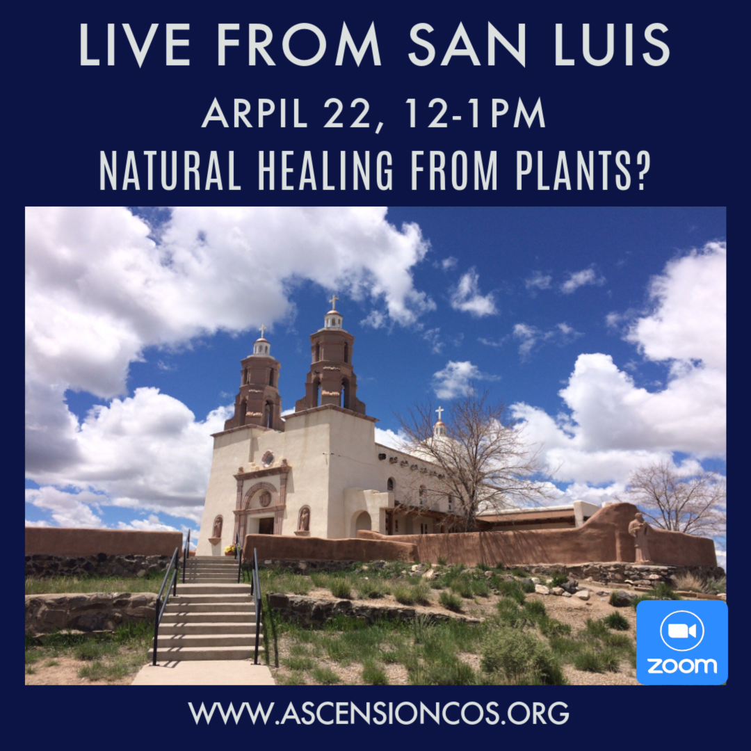 Live from San Luis April 22, 12-1pm, JOIN ON ZOOM - Ascension Lutheran